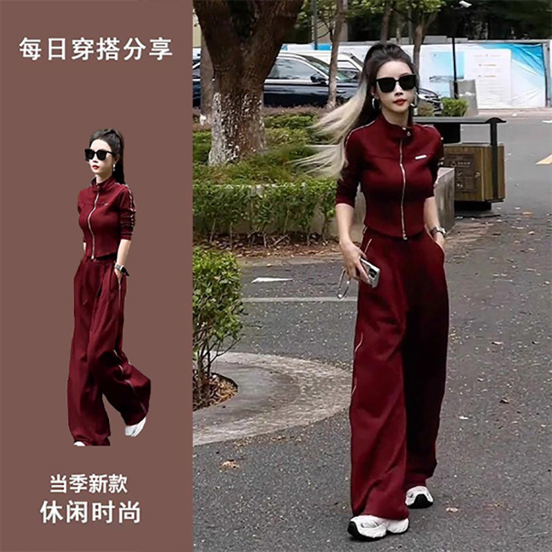 休闲气质时尚套装女2025年秋季新款高级感修身立领上衣显瘦阔腿裤|undefined
