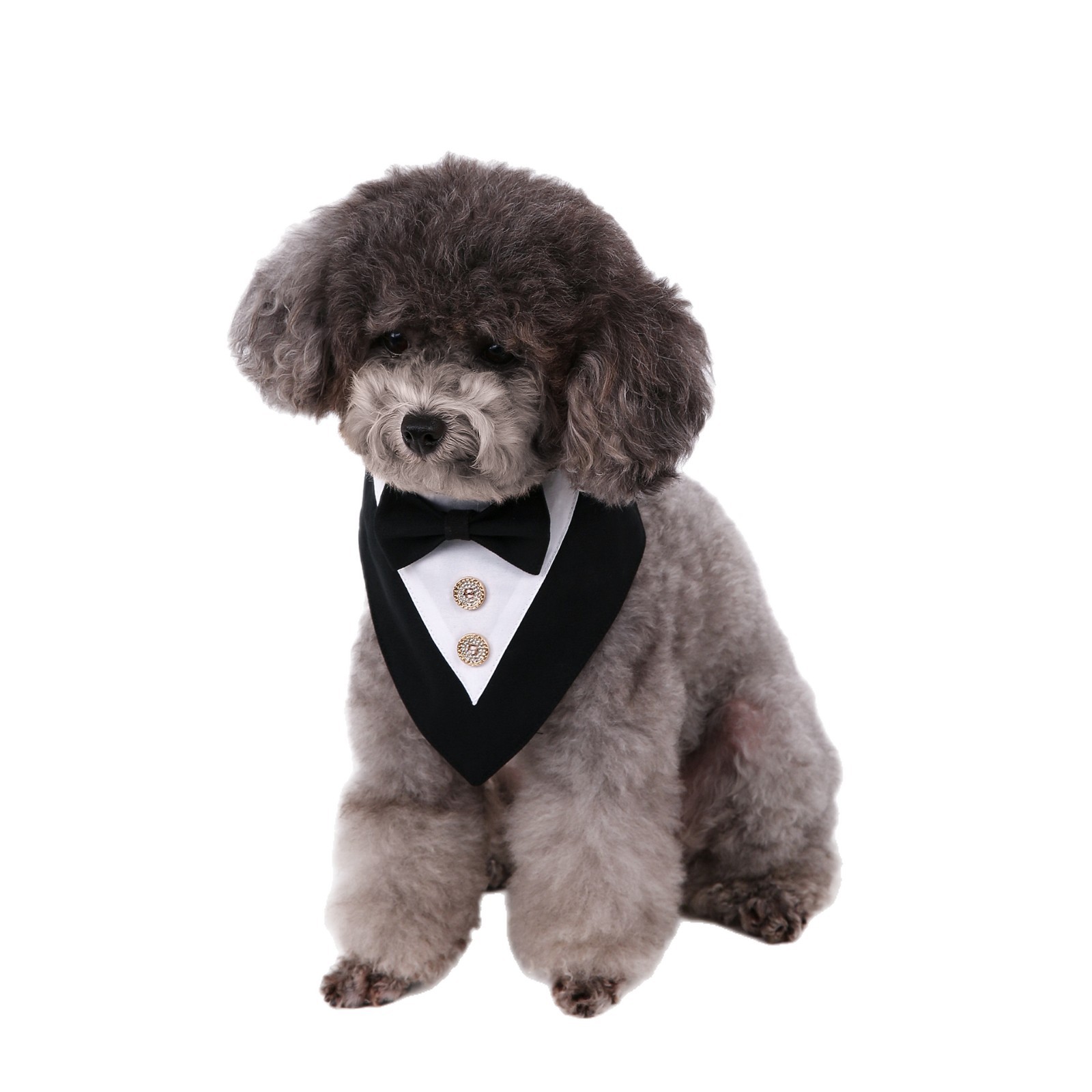 Navidad Año Nuevo Spot transfronterizo boda británica trajes toallas para mascotas bufandas perros velcro toallas para mascotas triángulos