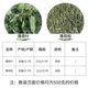 Mint tea dried mint leaves fresh edible tea water to drink things first-class cool herbal tea cold bubble summer