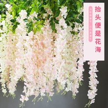 ����Gֲ�������ٻ��ٻ��ٲ��컨����滨����b��̈��[�O���⾰