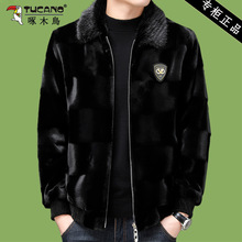 啄木鸟貂绒男士外套春节翻领海宁皮草仿水貂一体皮大衣加厚金貂毛