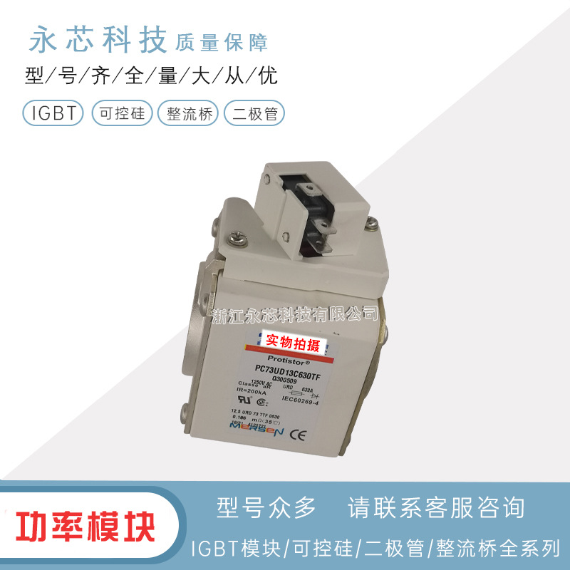 现货直销PC73UD90V10CD1A 	L300574全新双连体熔断器快速保险丝