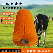 ţ�wˢ��ţ�坍ˢ�ϰW��Ħ��ϴëˢ��������ˢ�R���w��ϴˢ�����l