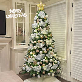 2025新款圣诞树家用ins网红风圣诞装饰圣诞节装饰品场景布置2025