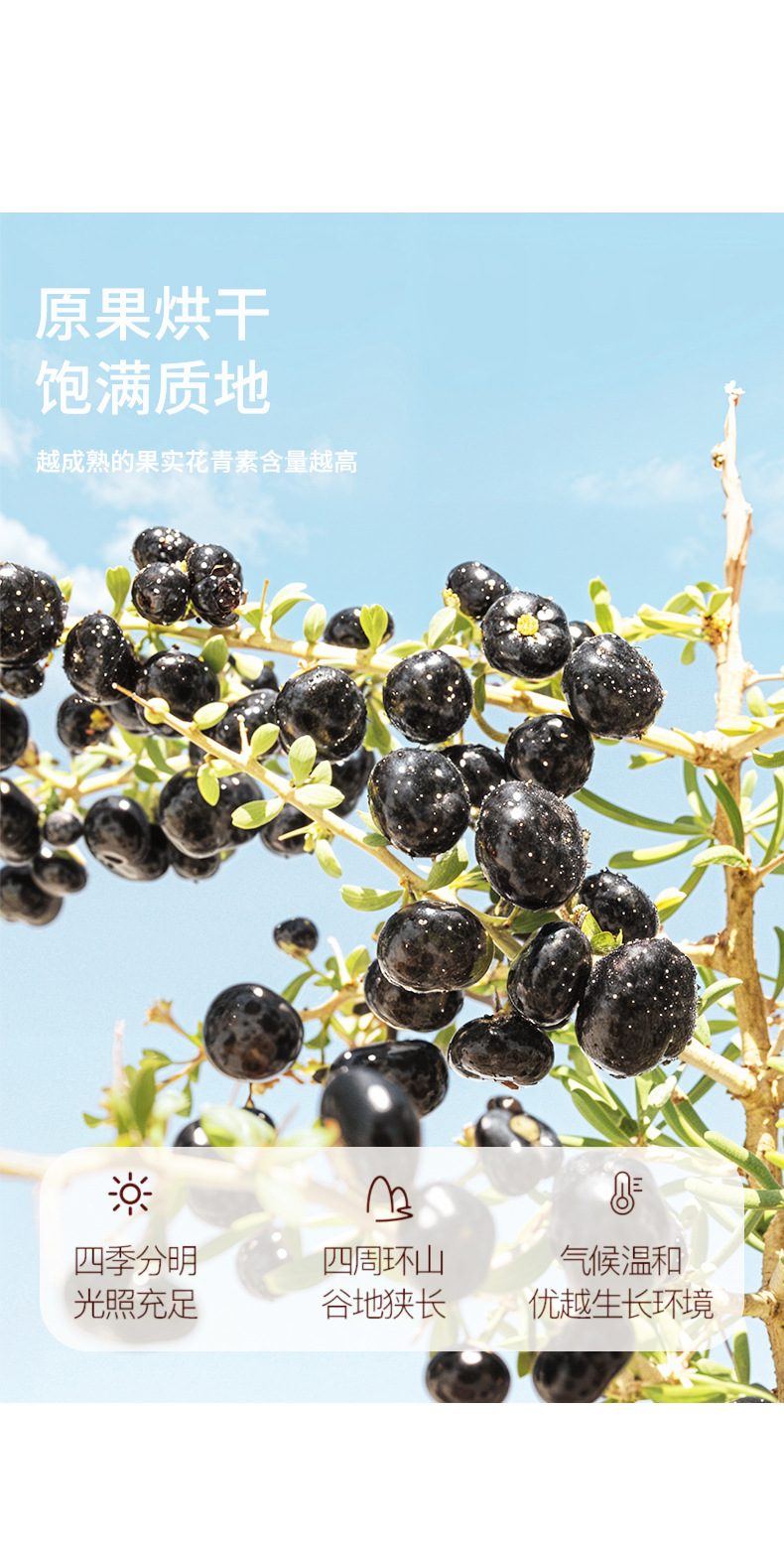 Premium Qinghai Black Goji Berries Hei Gou Qi Dried Whole Berries 250g Jar Seasonal New Harvest quality and texture