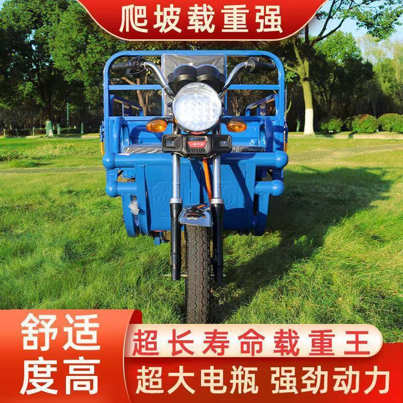 Electric Tricycle for Cargo, Delivery, Farm Use, Adult