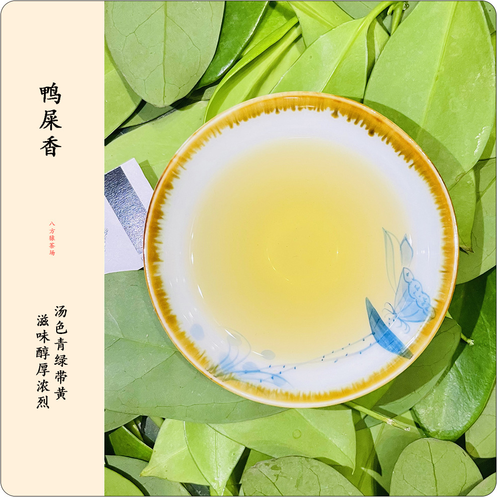 鴨屎香（半斤裝250g）潮州茶鳳凰單叢茶 烏崬頭春凍烏龍茶