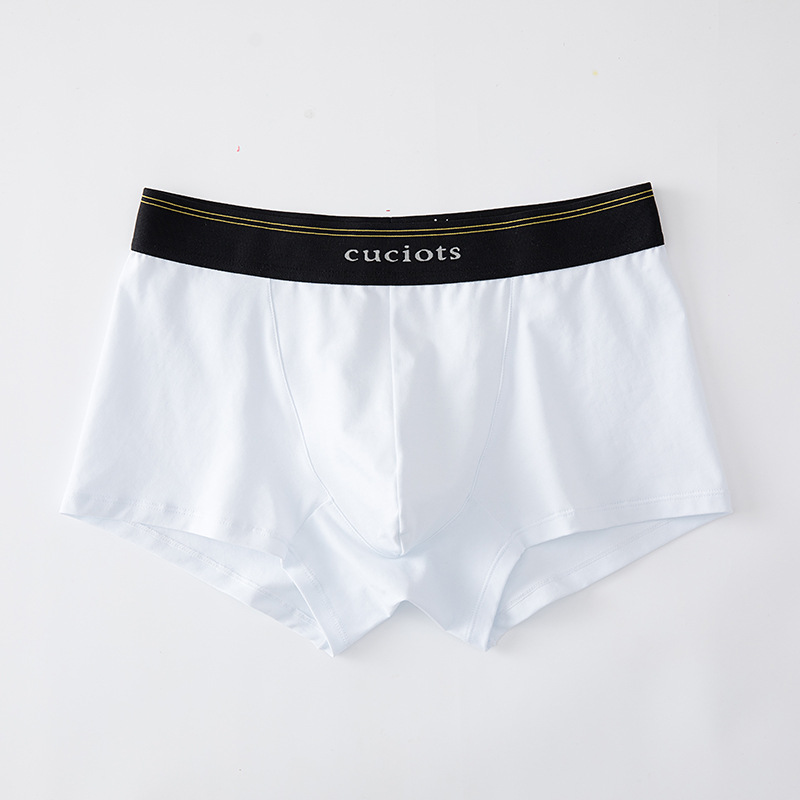 New Style Underwear Men's Cotton Men's Mid-Waist Boxers Modal Young Boys Sexy Solid Color Simple Boxers