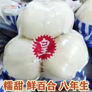 ���]�m���r��8����3�^����b�a��ֱ�N���r�ٺ� �ٺ����lK