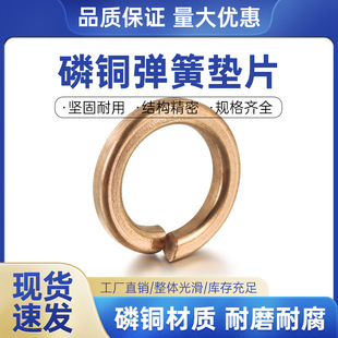 ¡~ݺ~ɉ|Ȧ~|]2/3/4/5/6/8/10/12/14/16/18