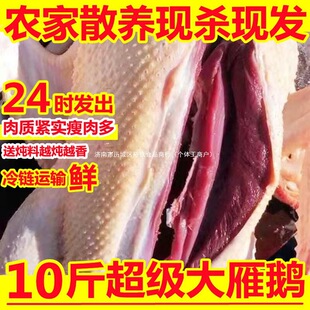 ���Z��ֻ10��Ǵ��Z���r�Z�����Z����ɢ�B�Ǵ��Z���Z���Z����