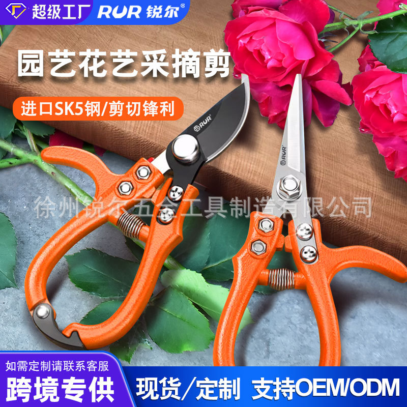葡萄水果专用翘头修花剪树省力花艺园艺剪弹簧修枝剪摘果剪采摘