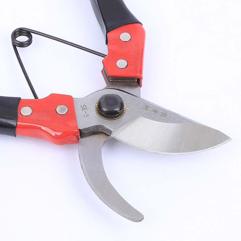 Perpetual árbol herramientas de jardín cortadora de ramas de árboles frutales bonsai cortadora de corte Liu Ji Ding Zhao cortadora de ramas de jardinería cortadora de ramas de plantas en maceta
