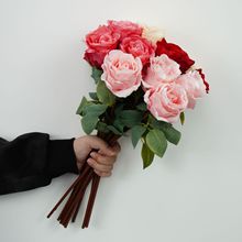 ���Ά�֧̫����õ����滨�͹��ͮ���߅�����廨�b羳�F؛ֱ��