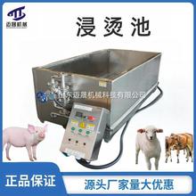 C P䓲|ԄӐaנC SֱN 늼ӟiC