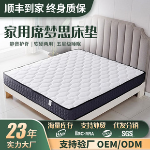 Simmons independent spring mattress soft and hard dual-use 20cm economical household rental latex Coconut Palm Spring mattress