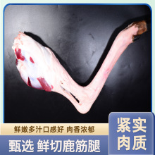 新鲜鹿筋腿现发现切肉质紧实鲜内多汁香味浓郁真材实料