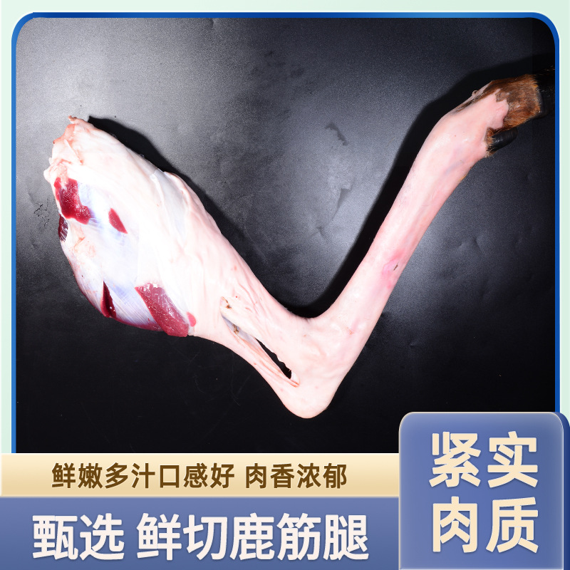 新鲜鹿筋腿现发现切肉质紧实鲜内多汁香味浓郁真材实料