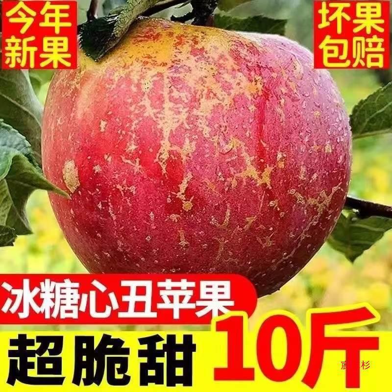Fresh Seasonal Apples from Daliang Mountain, Including Yanyuan Red Fuji and Bingtanghong, Whole Box with Free Shipping Fresh Seasonal Apples from Daliang Mountain, Including Yanyuan Red Fuji and Bingtanghong, Whole Box with Free Shipping