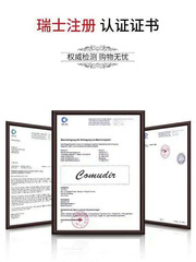 Tungsten steel watch for women, waterproof, simple and temperament, women's watch, small dial, women's quartz watch, foreign trade, cross-border dropshipping