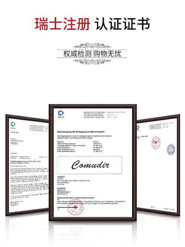 Tungsten steel watch for women, waterproof, simple and temperament, women's watch, small dial, women's quartz watch, foreign trade, cross-border dropshipping