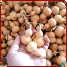 �ĳǺ��J����С���J��Ȼ���J�������Ѻ��JС�ֶպ��J�S��ֱ�N