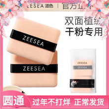 ZEESEA��ɫ��2ֻ�b���p��ֲ�q�ۓ�ɢ�ۓ������ݷۻ��y�ۓ��۷�