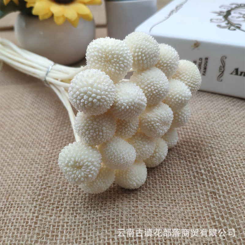 골드 볼 화이트 20