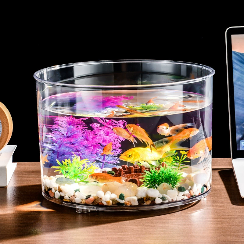 Цилиндр озеленения Вращающийся аквариум с золотой рыбкой