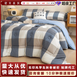 Manufacturer Custom-Made Antibacterial Student Autumn and Winter Quilt Core Export Quilt Spring and Autumn Quilt Warm Thickened Bedding Spring and Autumn Quilt Core