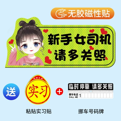 Other Automotive Exterior Supplies: Female Drivers on the Road - shoot-one-shot-three-strong-reflective-and-strong-magneticpellet-head-girl-care-more