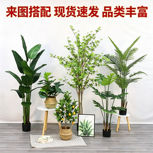 ����Gֲ���˽��Ž����������������҃ș���ֲ����OӋ�쾰�٘�