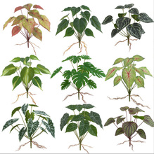 ����Gֲ�����~�ع��~���W�҃��bٻ����Ի���ֲ��@���b�ܛ