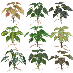 ����Gֲ�����~�ع��~���W�҃��bٻ����Ի���ֲ��@���b�ܛ