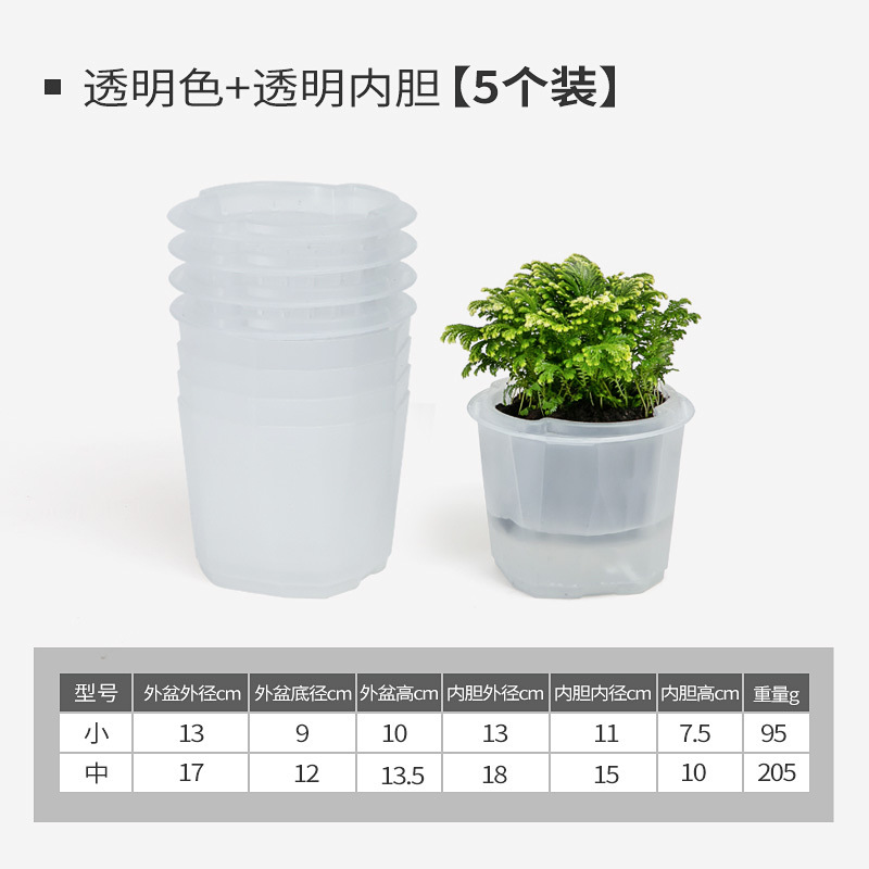 Maceta Hidropónica Autoabsorbente, Transparente, Sin Riego, para Interior