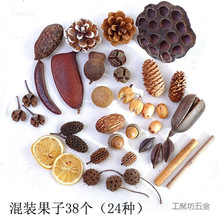 ɻɹMb׃@DIYֹϰɹɻ[յ