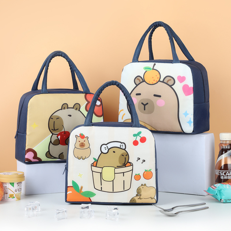 Bonita bolsa de almuerzo de dibujos animados portátil con bolsa de almuerzo bolsa de aislamiento térmico para el trabajo y la escuela bolsa de almuerzo bolsa de viaje lindo divertido