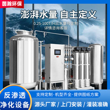 RO反渗透设备 纯净水设备纯化水处理反渗透膜过滤净化设备厂家