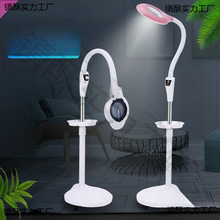 ����led����Ժ���������ֽ�ë��ü����������Ӱ���嶻�����