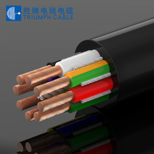 ʤƻ˵ZDTRVV 2*0.3MM  PVC300θƶԴ