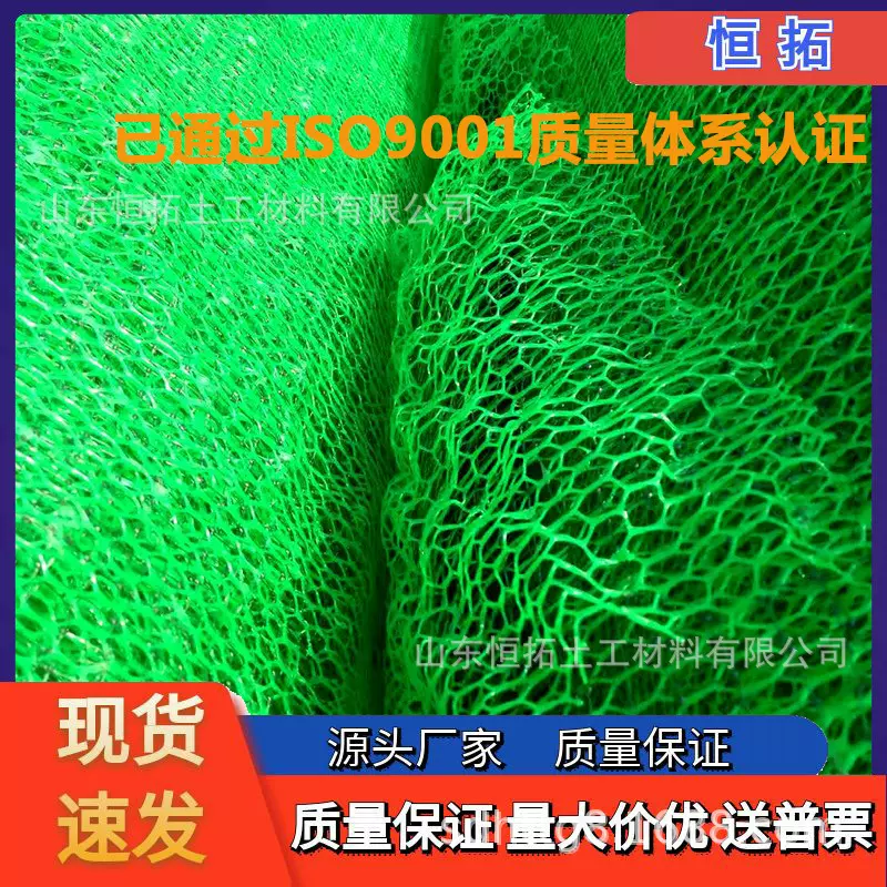 厂家直供EM2植草网土工网垫HDPE加筋植草绿化护坡固土三维植被网