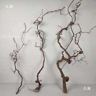 �U���֦�[����������ԭľ���bڒ��ֲ���������֦�ָб���