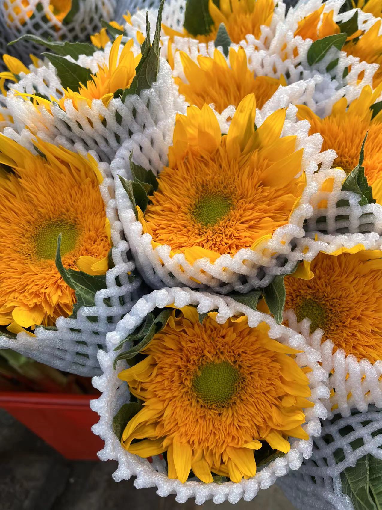 微信图片_20230220113049