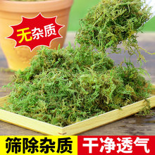 ��̦�\��̦ˮ̦�����m������ëë�x�m���������������|�����l