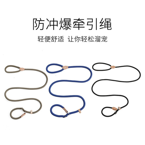 Dog leash bolt slip P chain collar medium and small dog explosion-proof Teddy anti-breakaway pet supplies wholesale