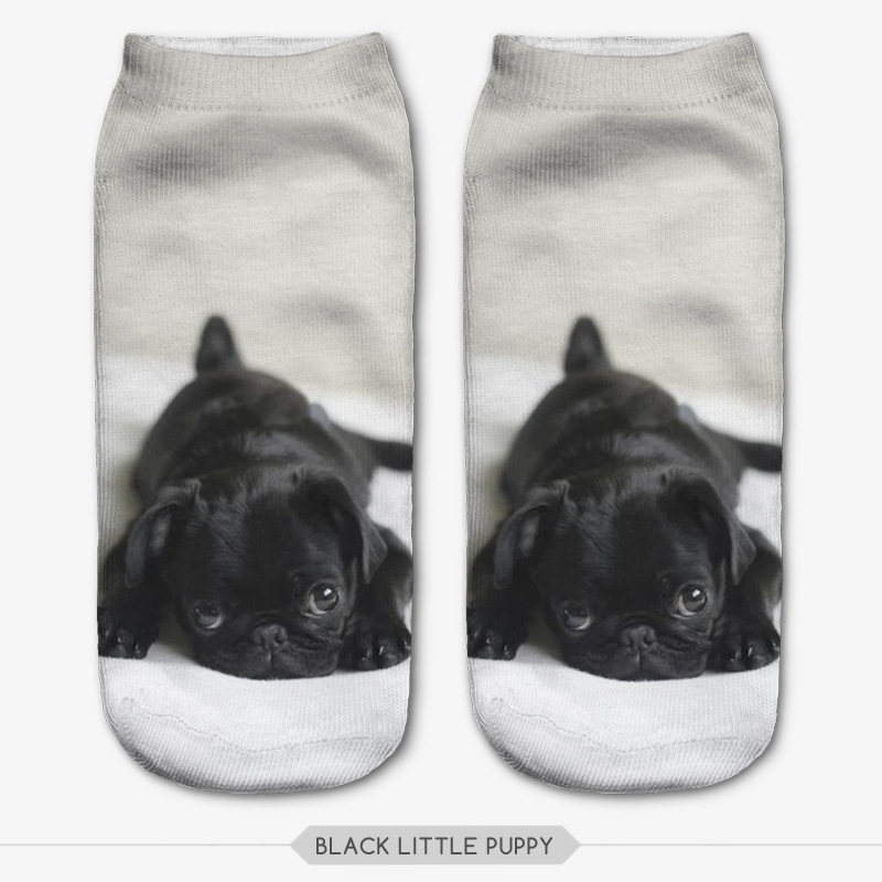 35404 black little puppy