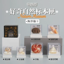 冰箱贴;标本;现代装饰画