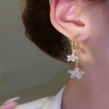 Crystal, small design fashionable earrings, light luxury style, 2021 collection, trend of season, internet celebrity