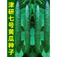 ̖SϷNӾGȿ߮a촺ļN̨߲˷N