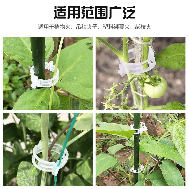 卡扣 植物藤蔓卡扣固定夹生长夹嫁接夹西红柿藤条卡扣黄瓜绑蔓夹|undefined